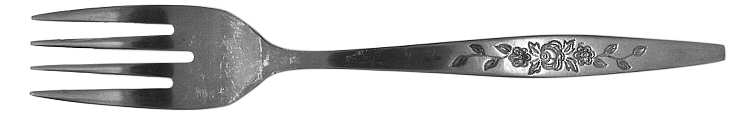 TWS119 (STAINLESS) Fork