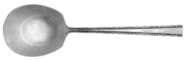 TWS120 (STAINLESS) Solid Smooth Casserole Spoon
