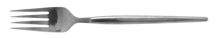 TWS121 (STAINLESS) Fork