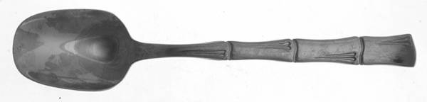 TWS139 Sugar Spoon