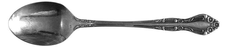 TWS142 (STAINLESS) Teaspoon by Towle Silver