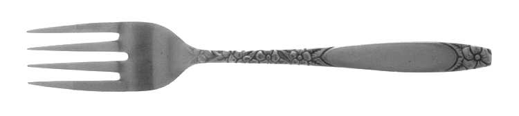 TWS153 Individual Salad Fork