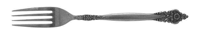 TWS154 Fork
