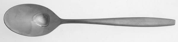 TWS155 (Stainless) Teaspoon