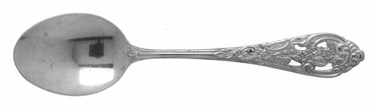 TWS162 (STAINLESS) Teaspoon