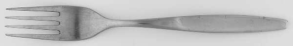 TWS164 (STAINLESS) Fork