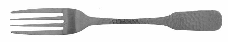 TWS165 (STAINLESS) Fork