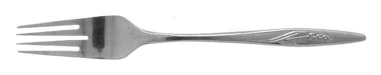 TWS166 (STAINLESS) Fork