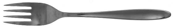 TWS167 Individual Salad Fork