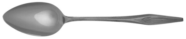 TWS168 (STAINLESS) Place/Oval Soup Spoon