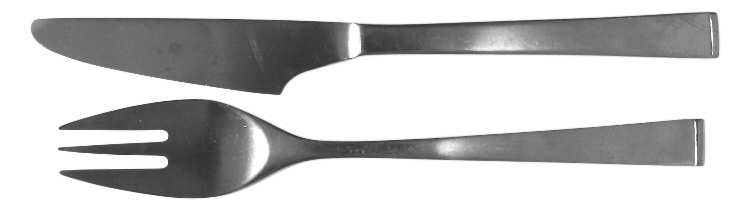 TWS169 (STAINLESS) Fork