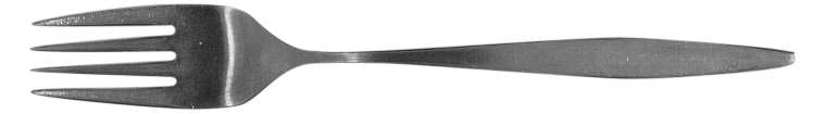 TWS171 (STAINLESS) Fork