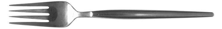 TWS172 (STAINLESS) Fork