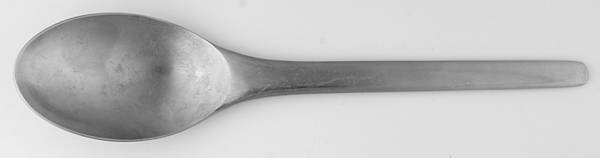 TWS19 (STAINLESS) Solid Serving Spoon