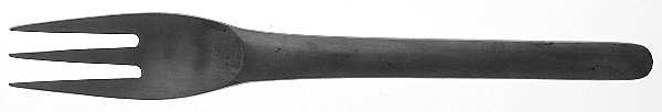 TWS19 (STAINLESS) Fork