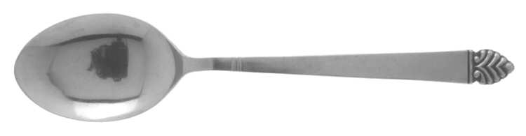 TWS190 (STAINLESS) Teaspoon