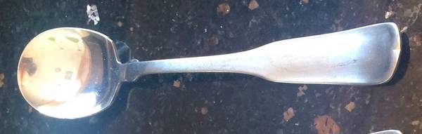 TWS191 (STAINLESS) Sugar Spoon