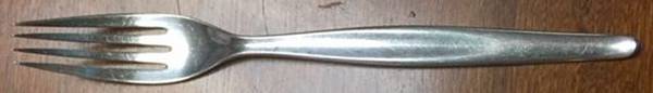 TWS192 (STAINLESS) Fork