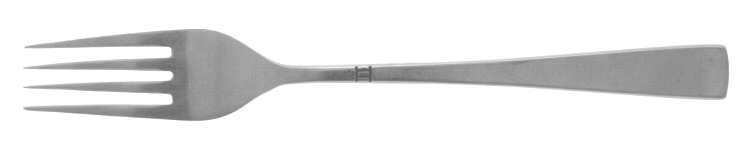 TWS198 (STAINLESS) Fork