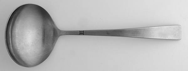 TWS198 (STAINLESS) Solid Gravy Ladle