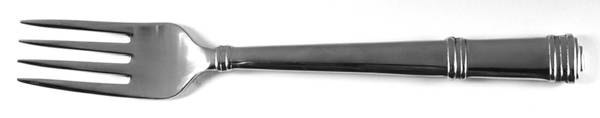 TWS200 (STAINLESS) Fork