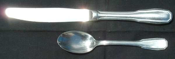 TWS201 (STAINLESS) Teaspoon