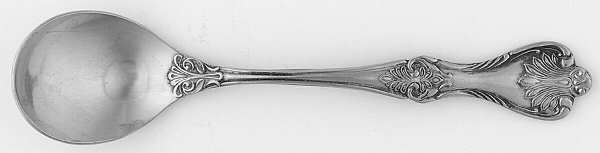 TWS210 (STAINLESS) Sugar Spoon