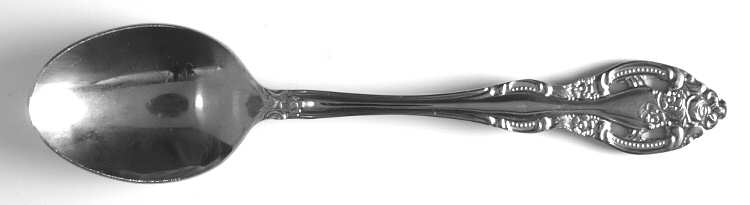 TWS211 (STAINLESS) Teaspoon