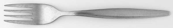 TWS32 (STAINLESS) Fork