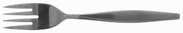 TWS32 (STAINLESS) Individual Salad Fork