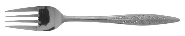 TWS46 (STAINLESS) Fork
