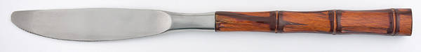 TWS49 (STAINLESS) Modern Hollow Knife