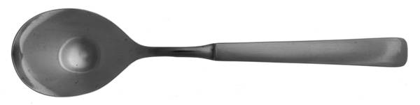 TWS51 (STAINLESS) Sugar Spoon