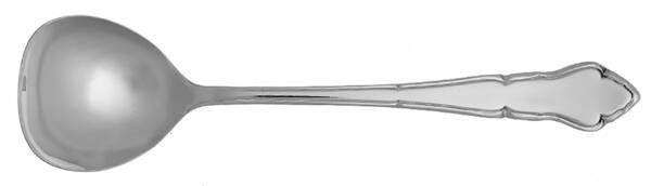 TWS65 (STAINLESS) Sugar Spoon