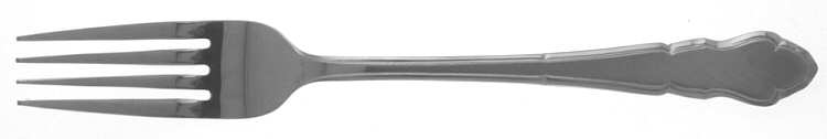 TWS65 (STAINLESS) Fork