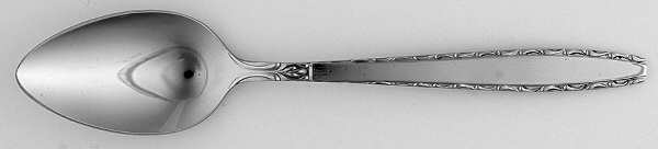 Gemstone (Stainless) Teaspoon