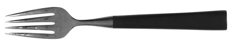 TWS72 (STAINLESS) Fork