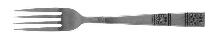TWS74 (STAINLESS) Fork