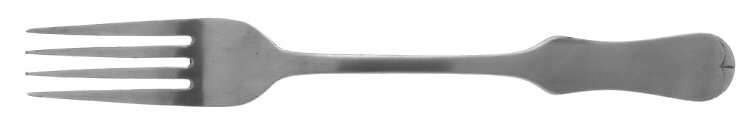 TWS9 (STAINLESS) Fork