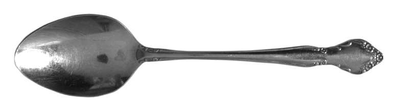 TWS91 Tablespoon (Serving Spoon)