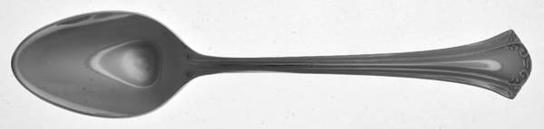 TWS96 (STAINLESS) Place/Oval Soup Spoon