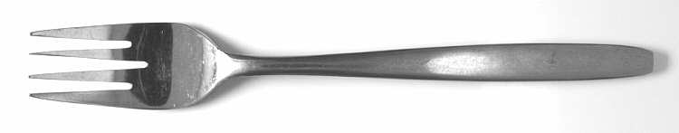 TWS216 (Stainless) Fork