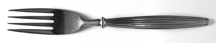 TWS233 Fork