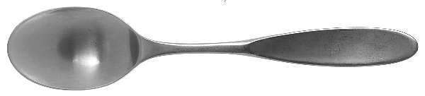 Magnum II (Stainless) Teaspoon by Towle Silver