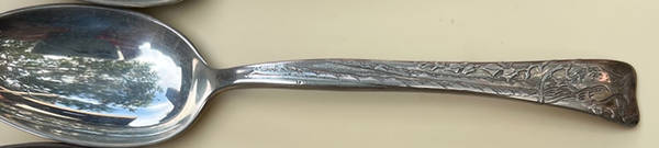 Lap-Over-Edge (Acid Etched) Teaspoon