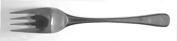 TWS266 Individual Salad Fork