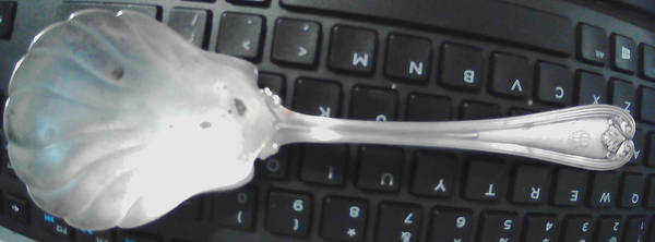 Colonial (Sterling, 1895) Solid Shell Berry/Casserole Spoon