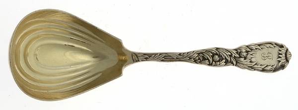 Chrysanthemum (Sterling, 1880) Tea Caddy Spoon