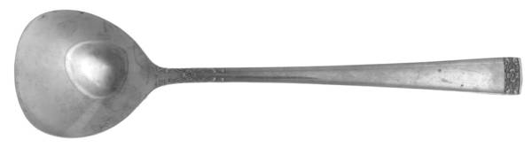 TWS280 (STAINLESS) Sugar Spoon