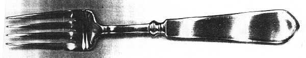 TWS283 (STAINLESS) Fork